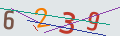 verifycode
